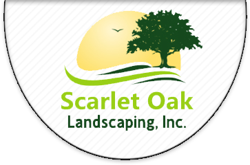 Scarlet Oak Landscaping